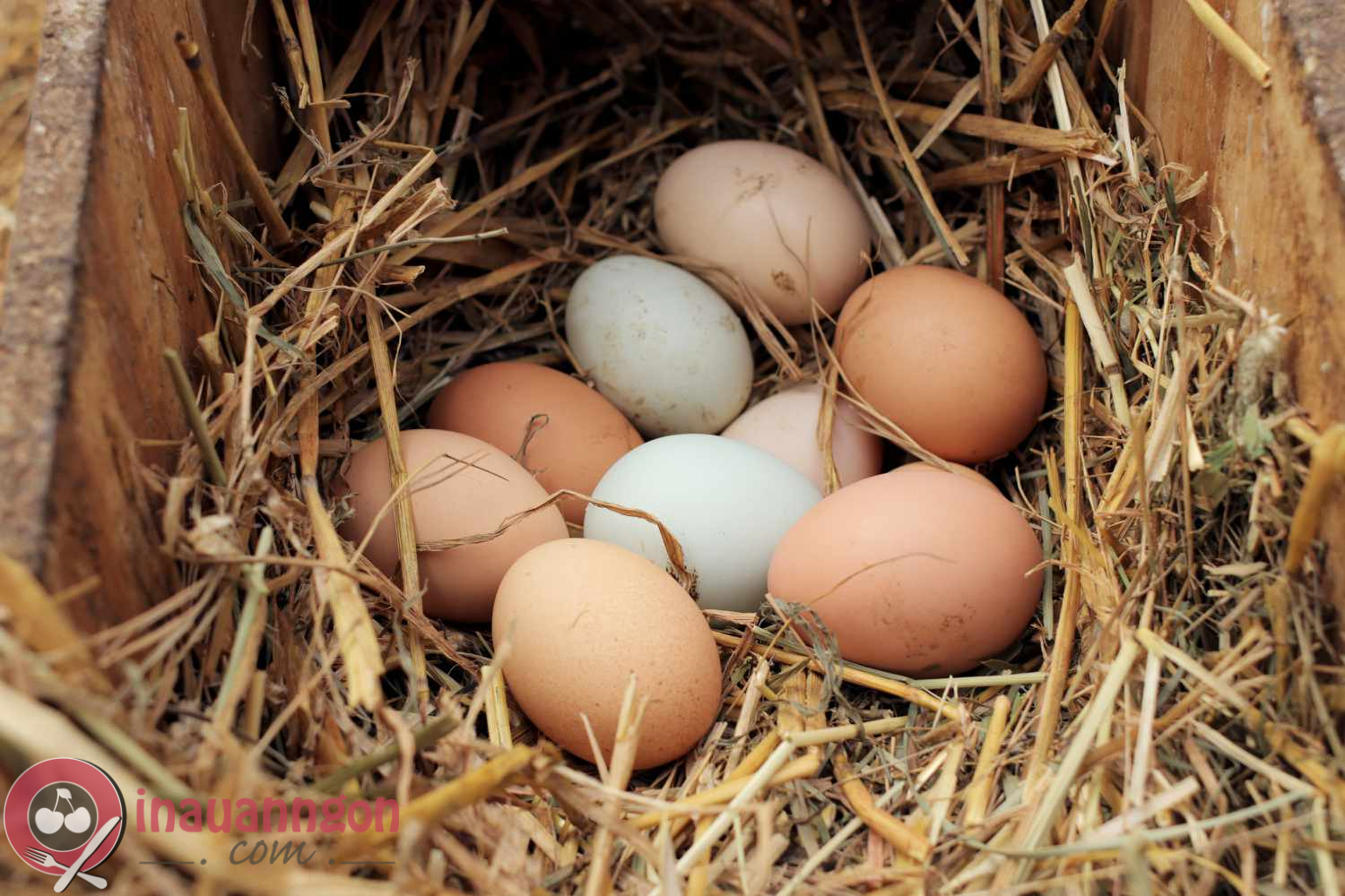 Chọn những quả trứng mới để có món ăn chất lượng