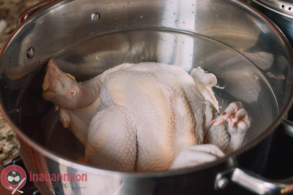 Cho gà vào nồi với lượng nước ngập phần đầu 