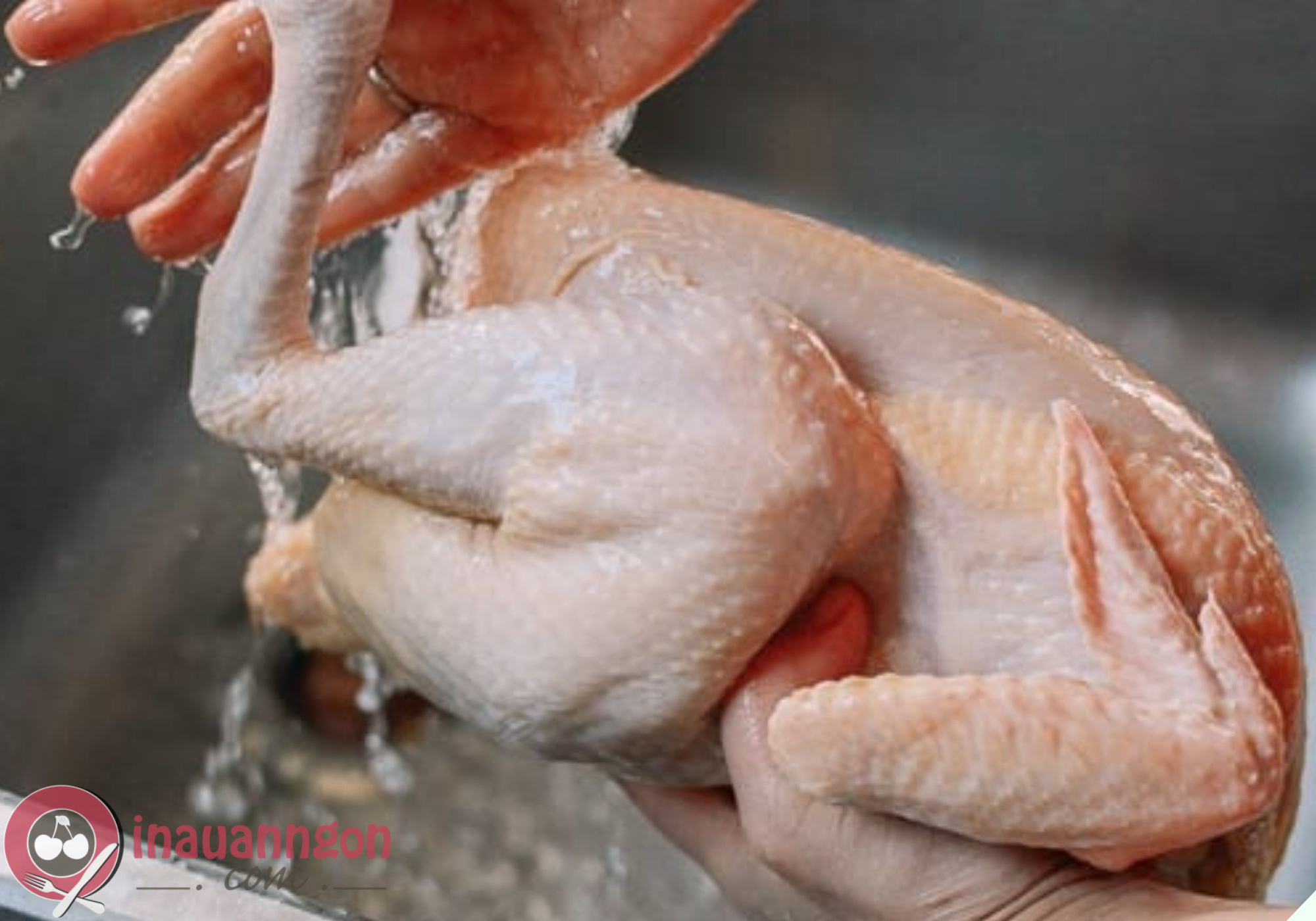 Sơ chế gà đúng cách để khử mùi hôi hiệu quả