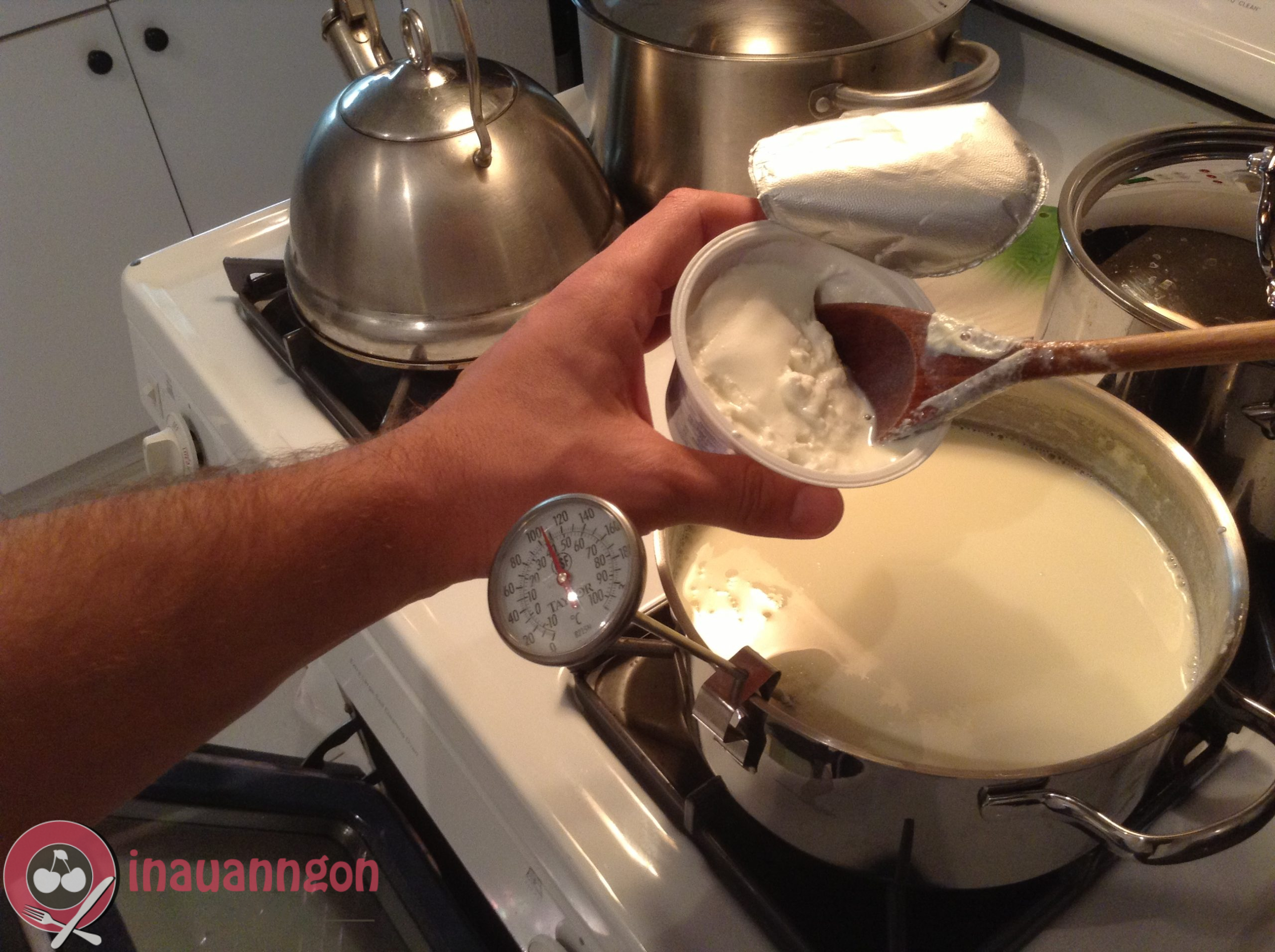 Trộn sữa chua với sữa tươi để làm hỗn hợp sữa chua cái 