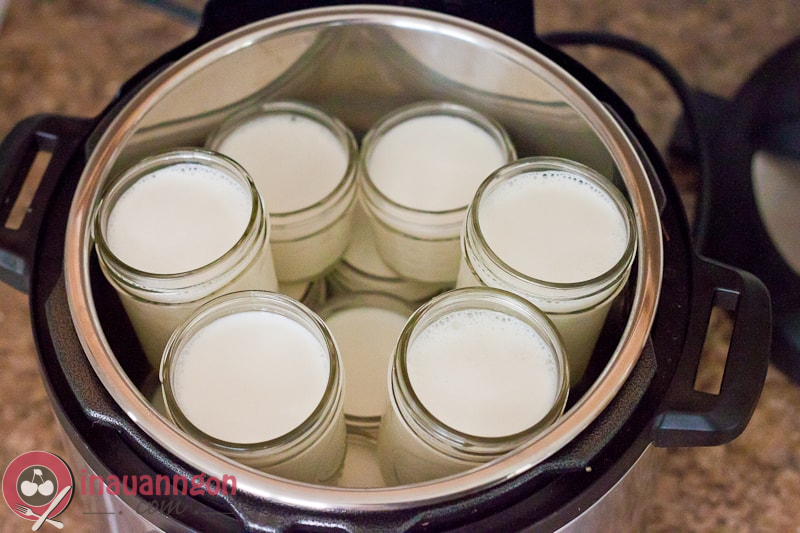 Ủ sữa chua từ 6 - 8 tiếng để men hoạt động, sữa chua đông đặc 