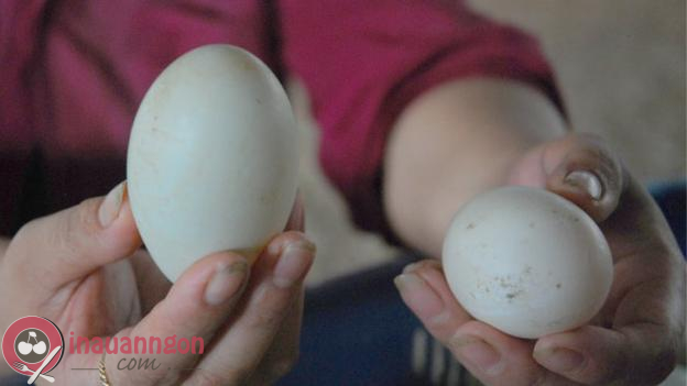 Trứng cầm chắc và nặng tay là trứng non